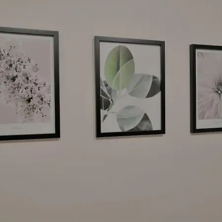 Apartia Krenova, Brno-Center Buitenkant foto