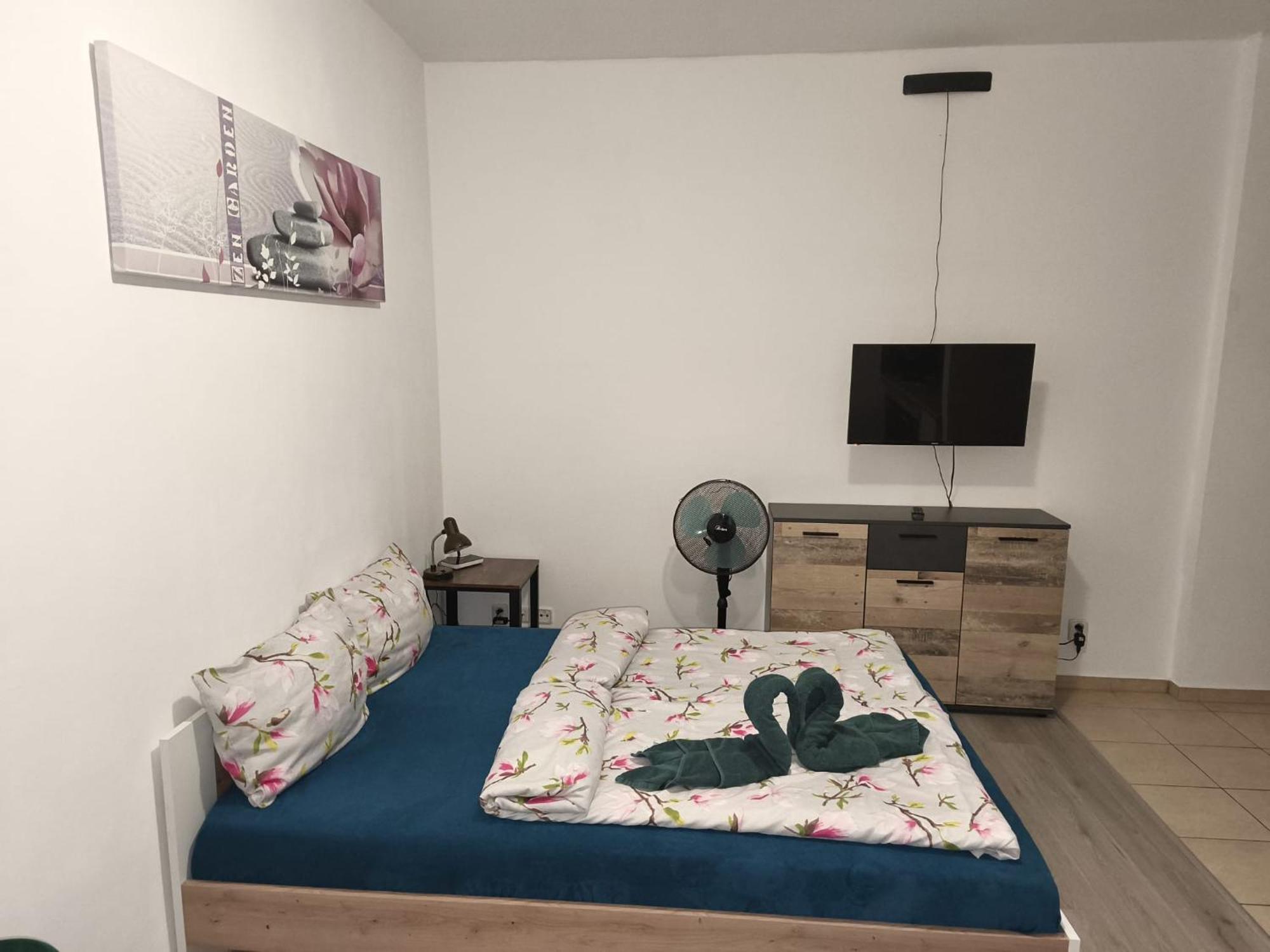 Apartia Krenova, Brno-center *