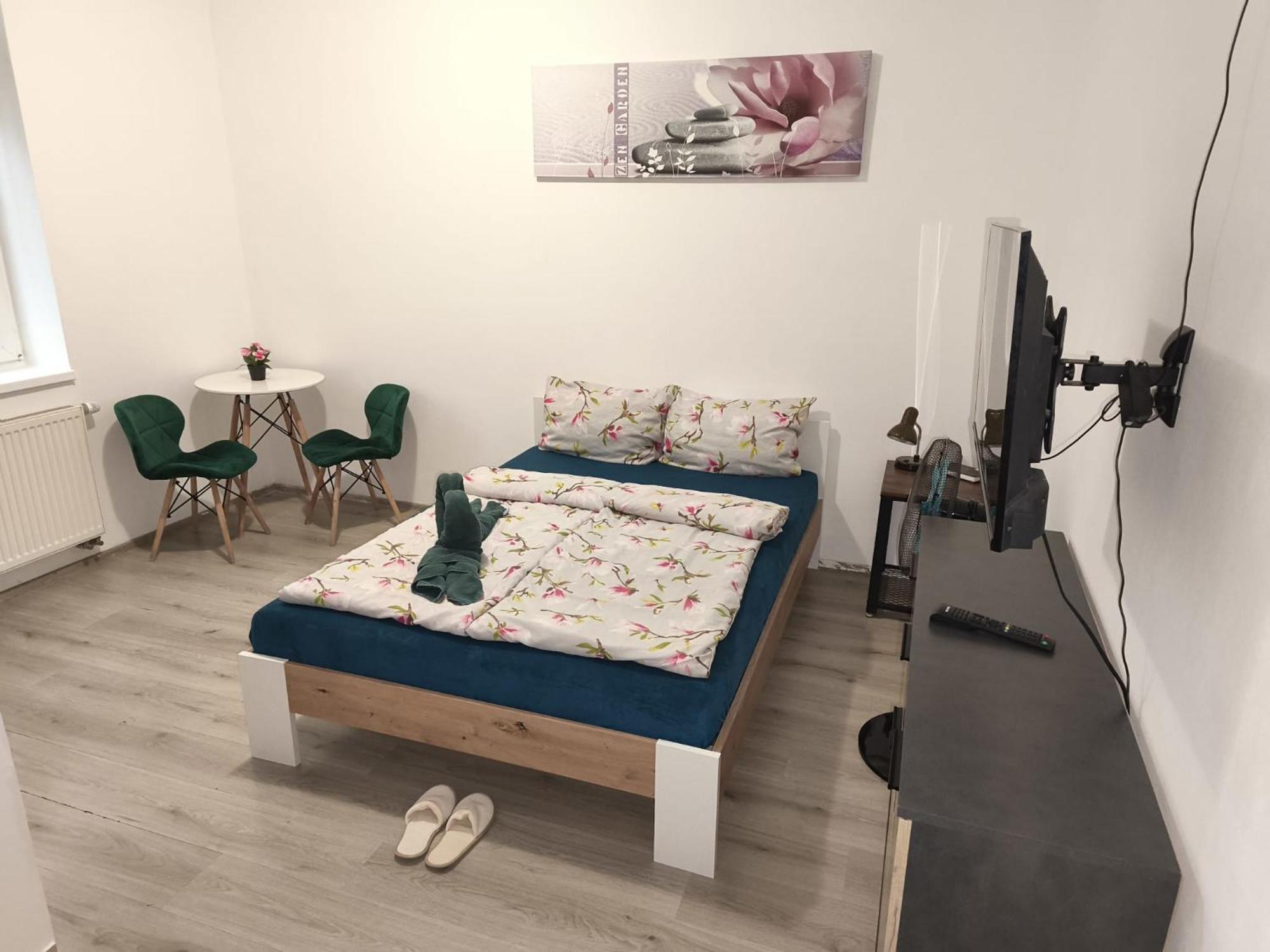 Apartia Krenova, Brno-center Brno