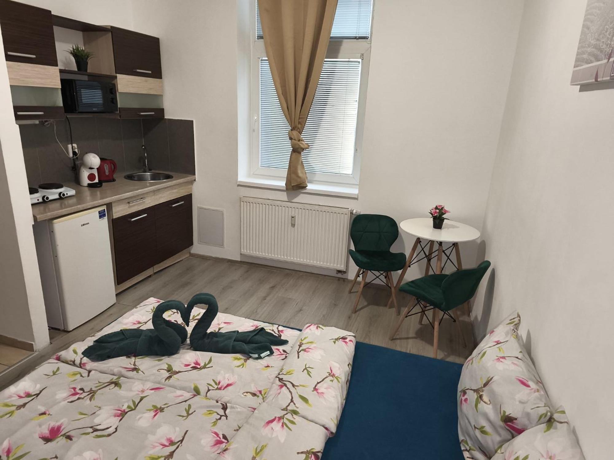 Apartia Krenova, Brno-center * Brno